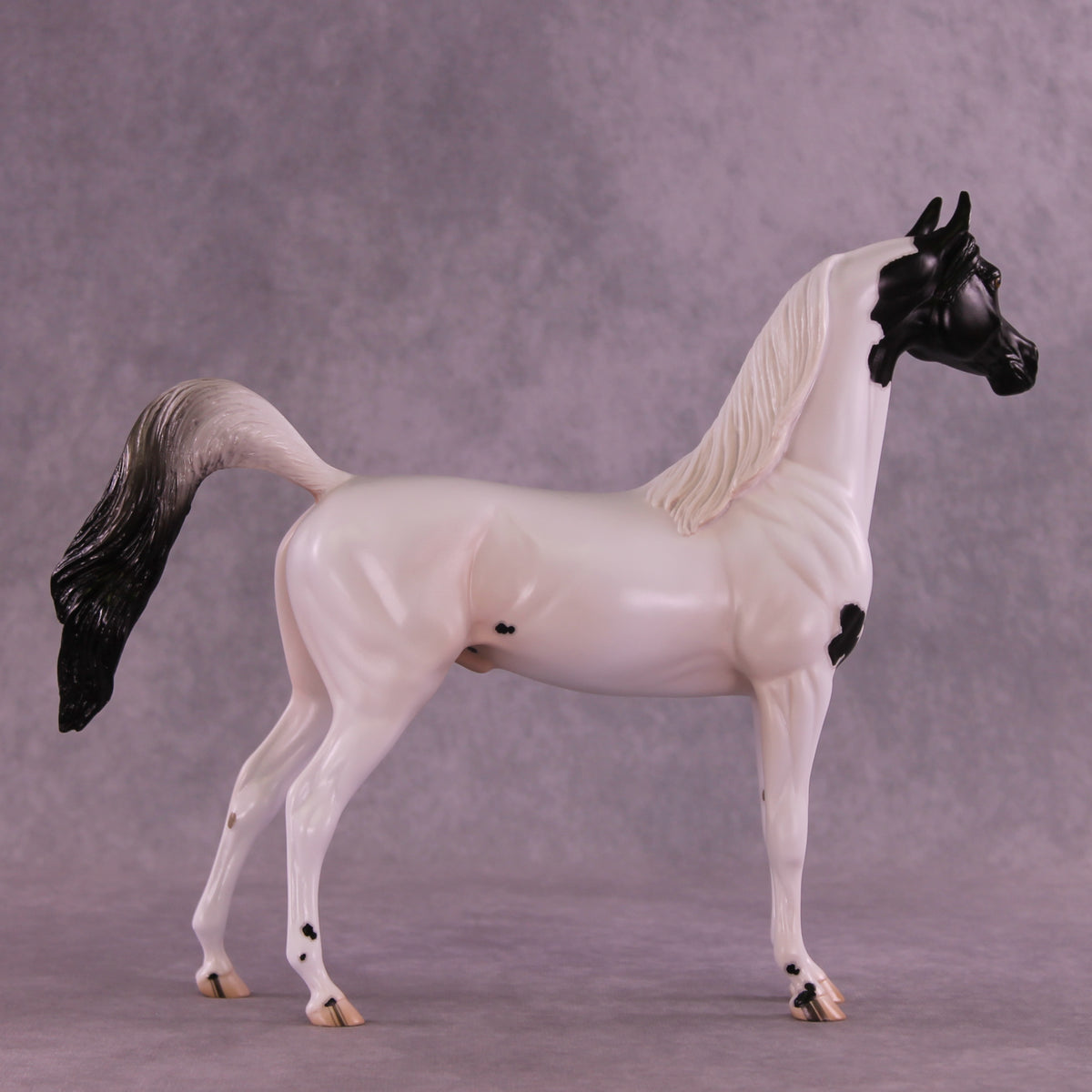 Stewart OOAK FCM Arabian Stallion by Jess Hamill DDOOAKs25