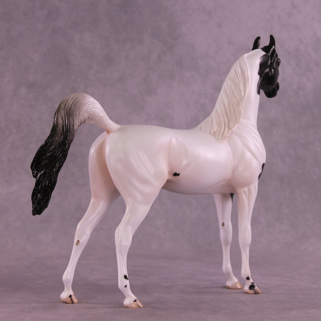 Stewart OOAK FCM Arabian Stallion by Jess Hamill DDOOAKs25