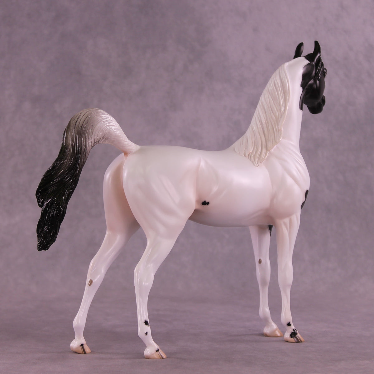Stewart OOAK FCM Arabian Stallion by Jess Hamill DDOOAKs25