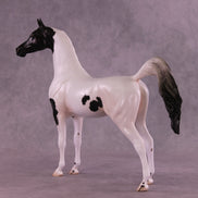 Stewart OOAK FCM Arabian Stallion by Jess Hamill DDOOAKs25