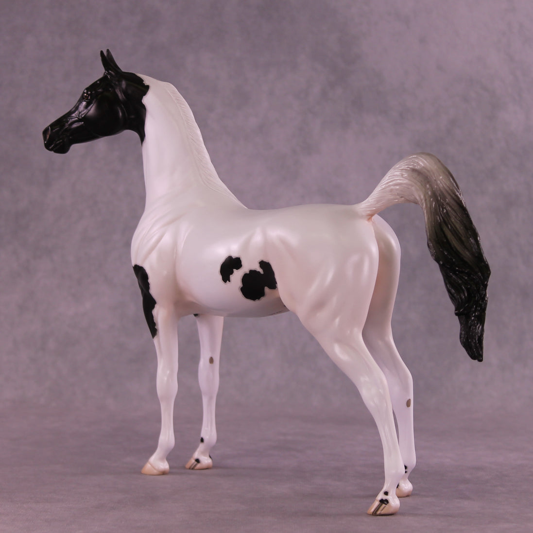 Stewart OOAK FCM Arabian Stallion by Jess Hamill DDOOAKs25