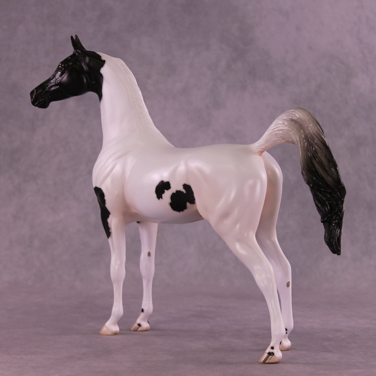 Stewart OOAK FCM Arabian Stallion by Jess Hamill DDOOAKs25