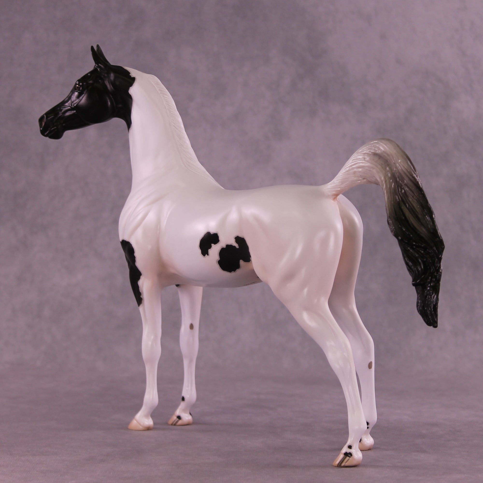 Stewart OOAK FCM Arabian Stallion by Jess Hamill DDOOAKs25