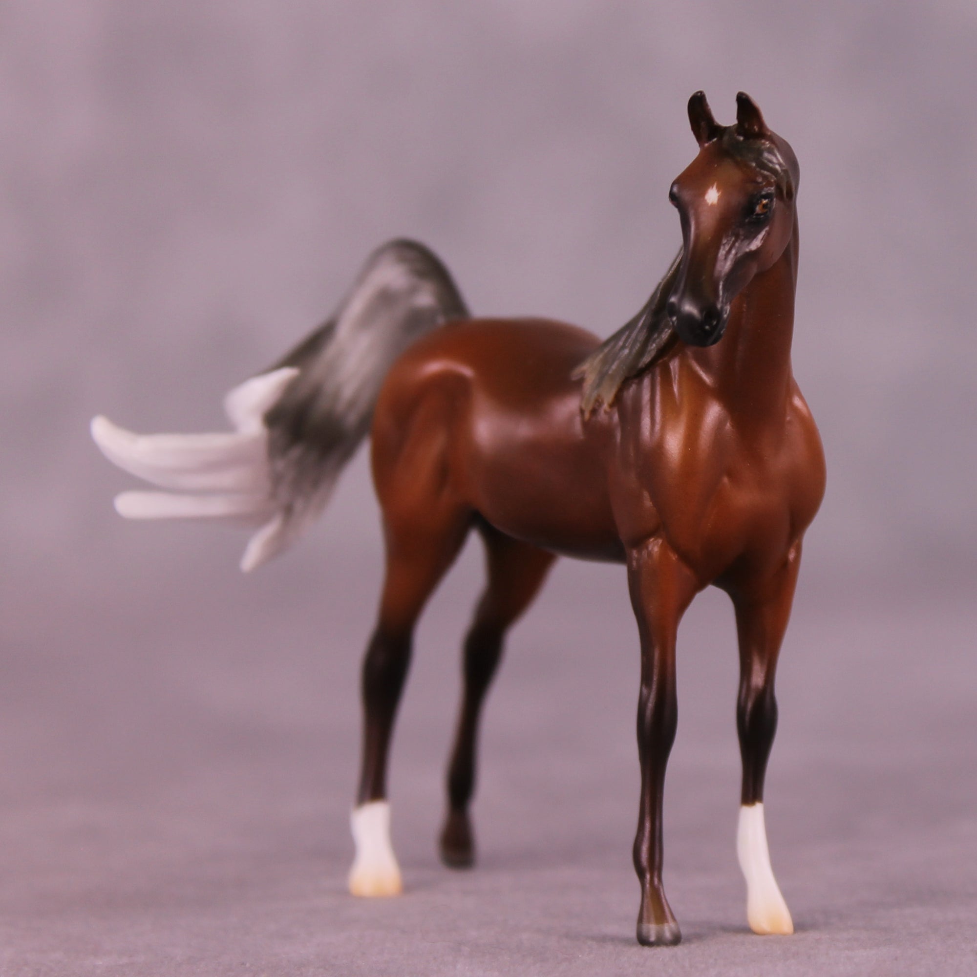 Preview: Fall Away LE-10 EFCM Chip Arabian by Ashley Palmer LHS25