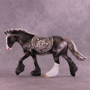 One Dollar OOAK FCM Irish Cob by Enrique Duarte DDOOAKs25