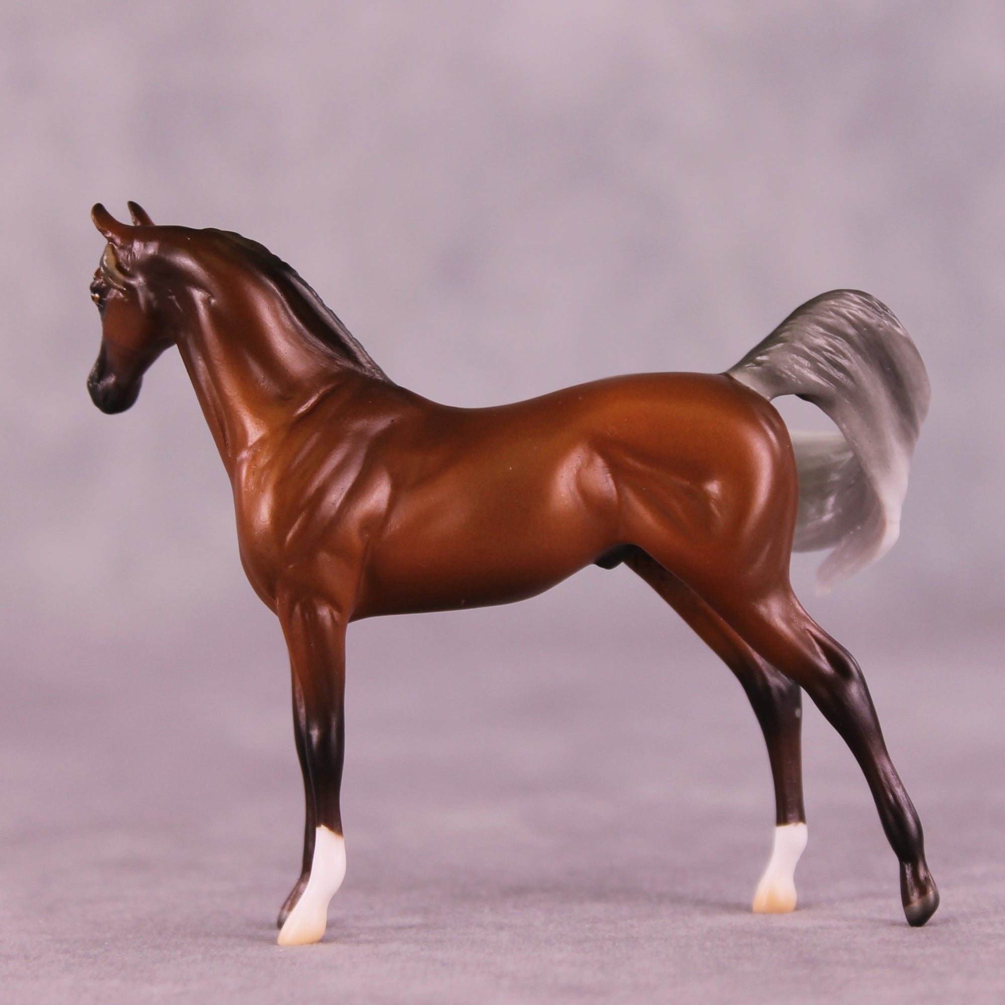 Preview: Fall Away LE-10 EFCM Chip Arabian by Ashley Palmer LHS25