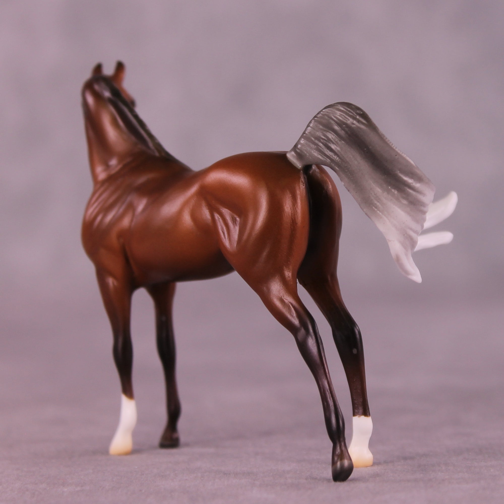 Preview: Fall Away LE-10 EFCM Chip Arabian by Ashley Palmer LHS25
