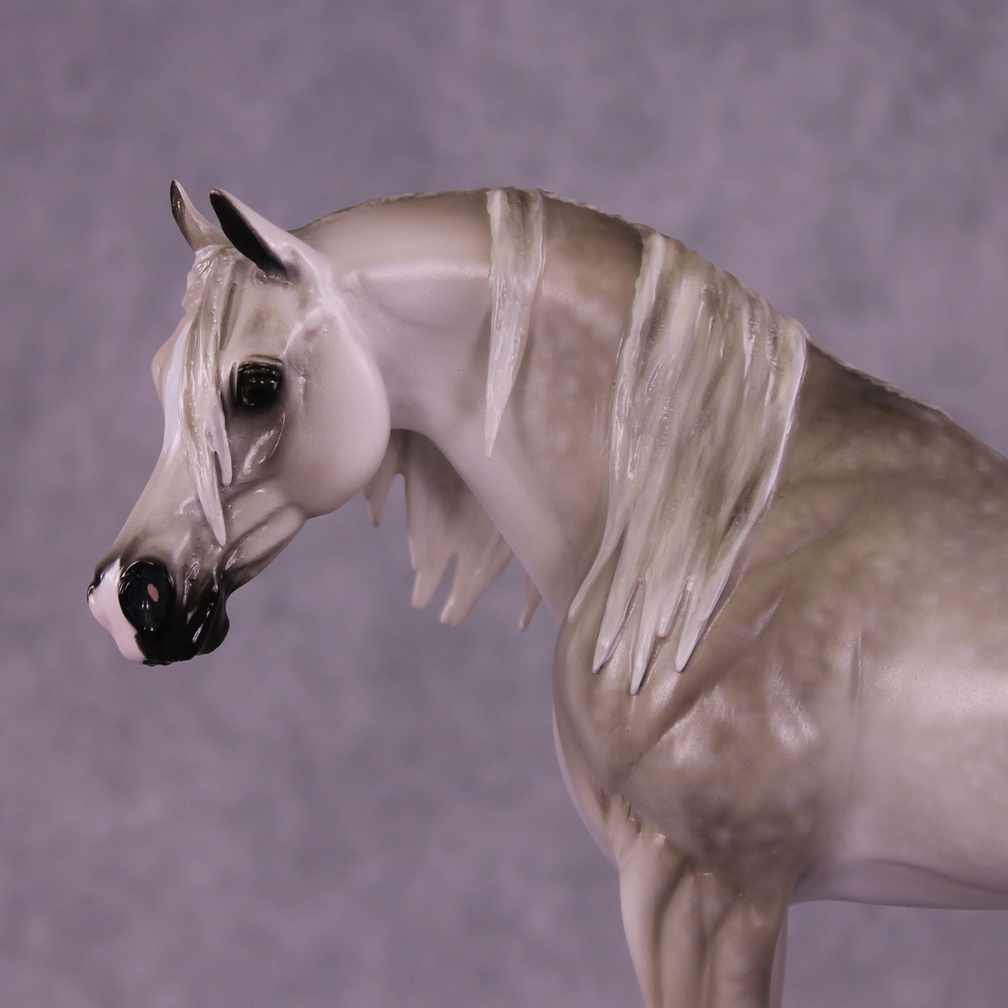 Morafico OOAK EFCM Arabian Stallion by Tiffany Purdy SS925