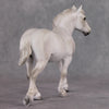 Bucaneve LE-6 Pearly Grey Dapple Custom Pebble Draft Mare By Julie Keim FS25