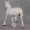 Bucaneve LE-6 Pearly Grey Dapple Custom Pebble Draft Mare By Julie Keim FS25