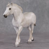 Bucaneve LE-6 Pearly Grey Dapple Custom Pebble Draft Mare By Julie Keim FS25