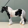 Downpour OOAK Black TObiano Custom Heavy Draft By Jess Hamill EQ24