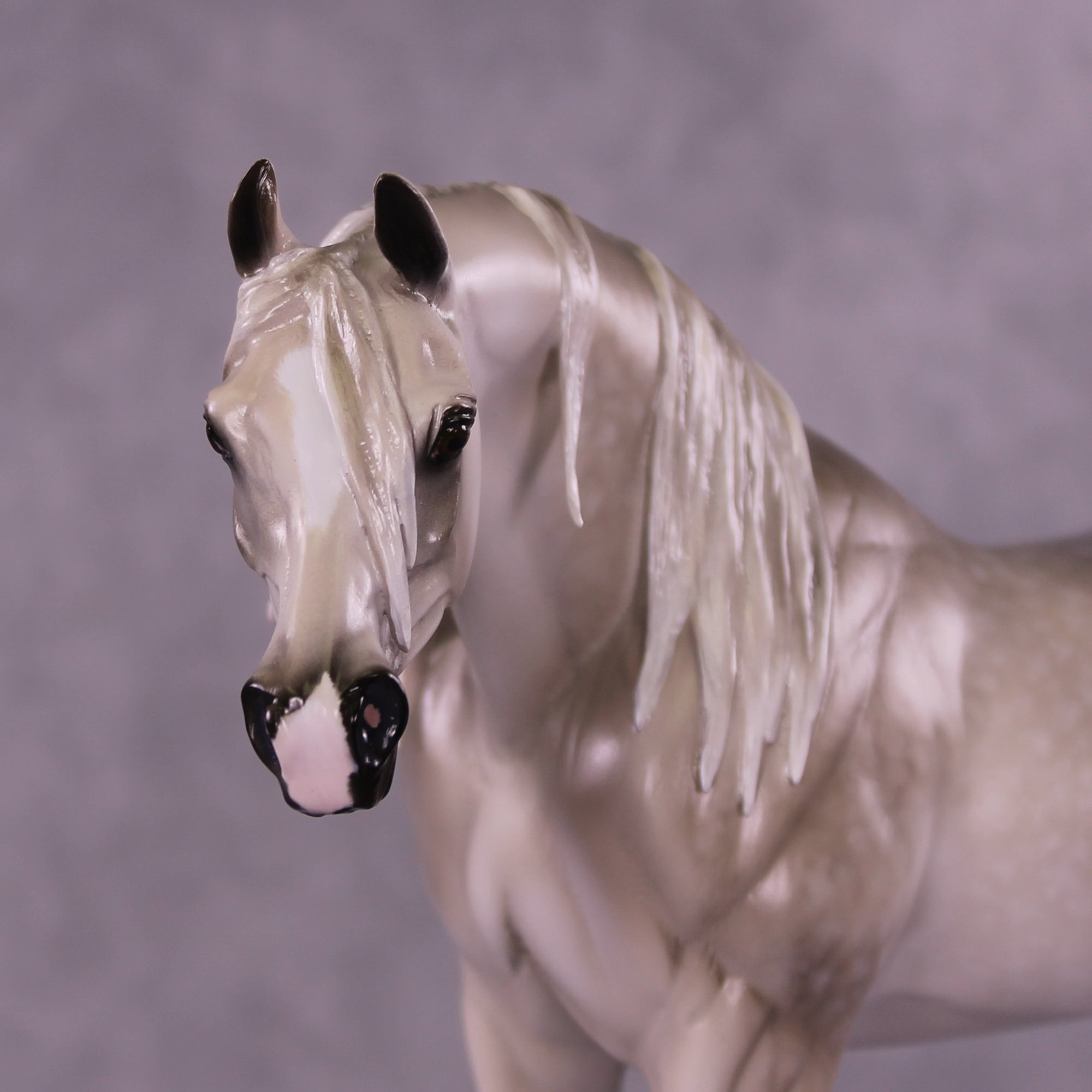 Morafico OOAK EFCM Arabian Stallion by Tiffany Purdy SS925
