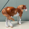 Cascade OOAK Chestnut Splash Custom Heavy Draft By Jess Hamill EQ24