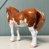 Cascade OOAK Chestnut Splash Custom Heavy Draft By Jess Hamill EQ24