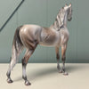 Torrent OOAK Fleabitten Dappled Rose Grey Arabian By Jess Hamill EQ24 MHP SS724