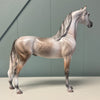 Torrent OOAK Fleabitten Dappled Rose Grey Arabian By Jess Hamill EQ24 MHP SS724