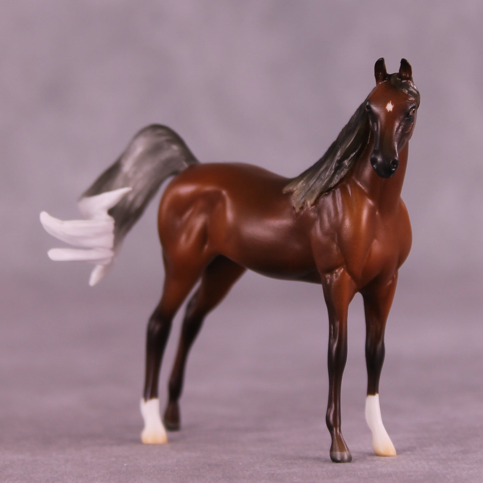 SAMPLE Fall Away LE-10 FCM Chip Arabian by Ashley Palmer HS25