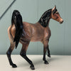 Polished Up Real Nice OOAK Palomino Custom Arab Mare By Dawn Quick EQ24