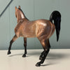 Polished Up Real Nice OOAK Palomino Custom Arab Mare By Dawn Quick EQ24