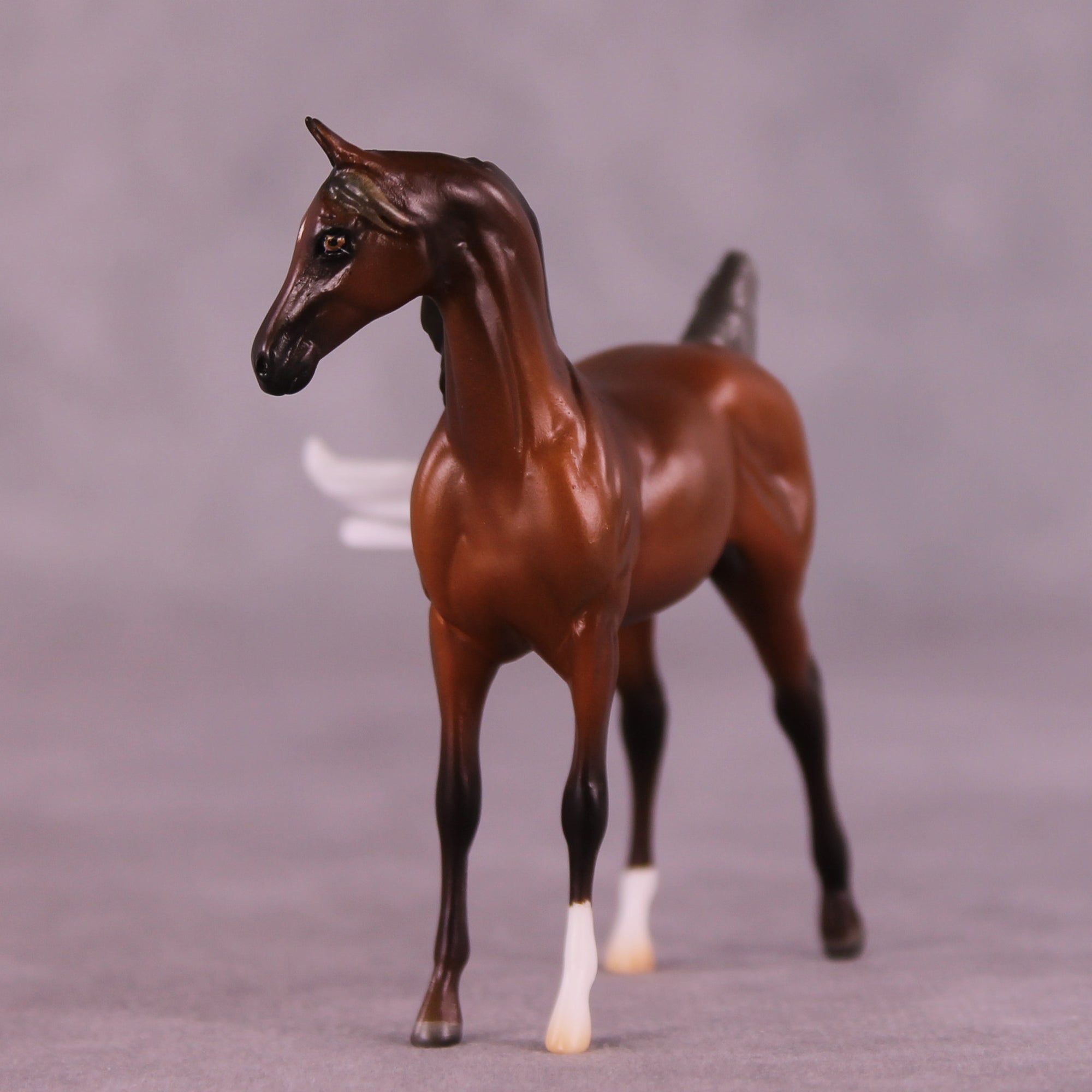 Preview: Fall Away LE-10 EFCM Chip Arabian by Ashley Palmer LHS25