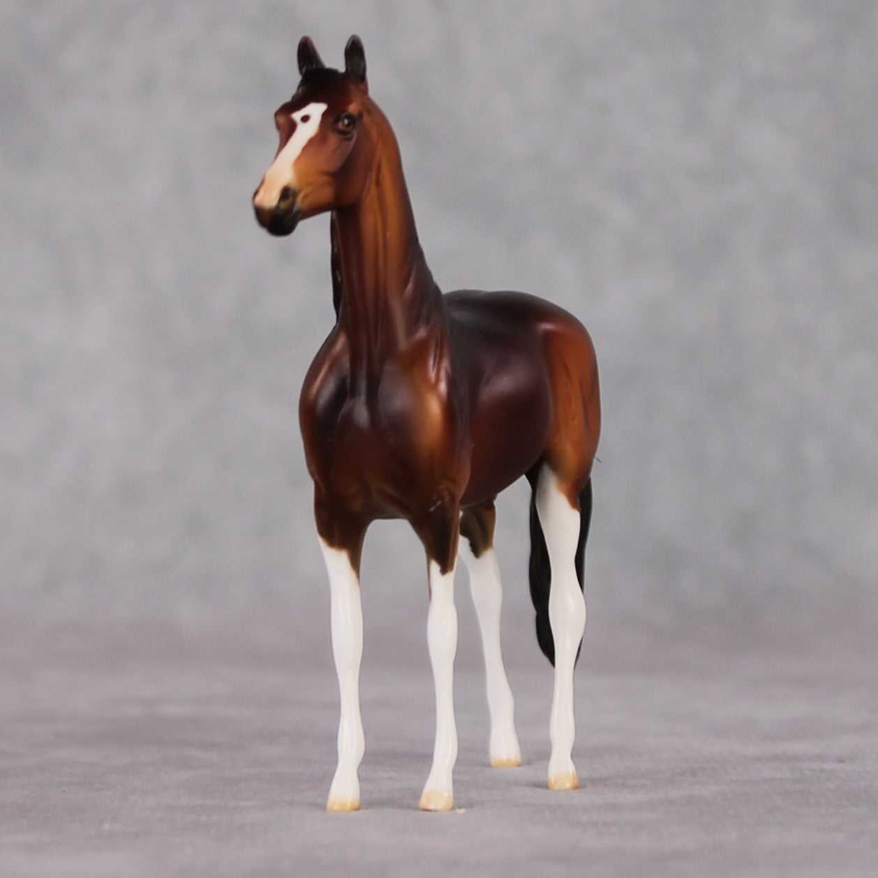 "Festive" LE-3 Morgan Chip By Dawn Quick SHCF25OS