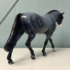 Allan OOAK Fleabitten Blue Roan Irish Draft By Dawn Quick EQ24