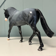 Allan OOAK Fleabitten Blue Roan Irish Draught By Dawn Quick EQ24