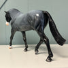 Allan OOAK Fleabitten Blue Roan Irish Draft By Dawn Quick EQ24