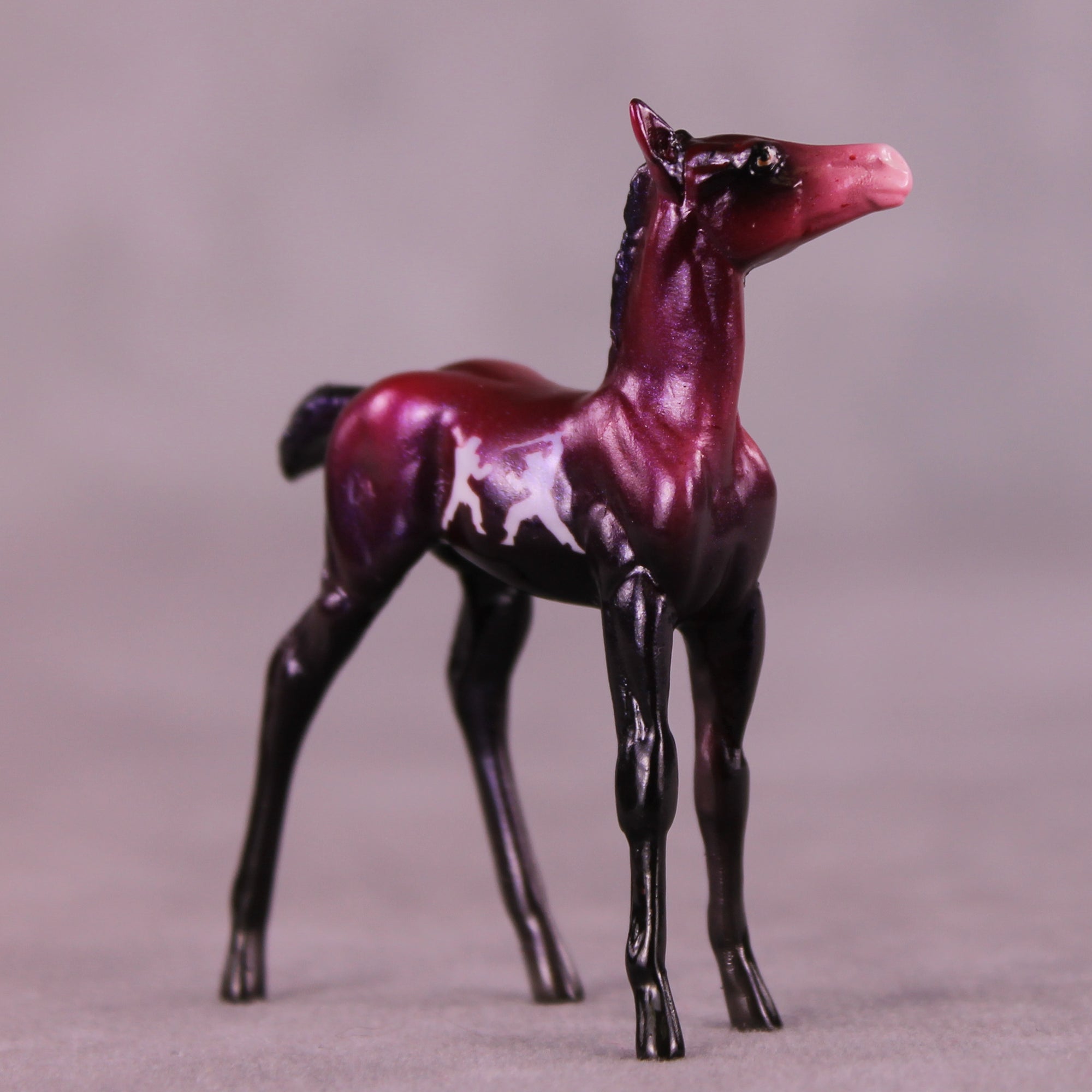 Fight! OOAK Chip Foal by Kike (Enrique) Duarte SCD25