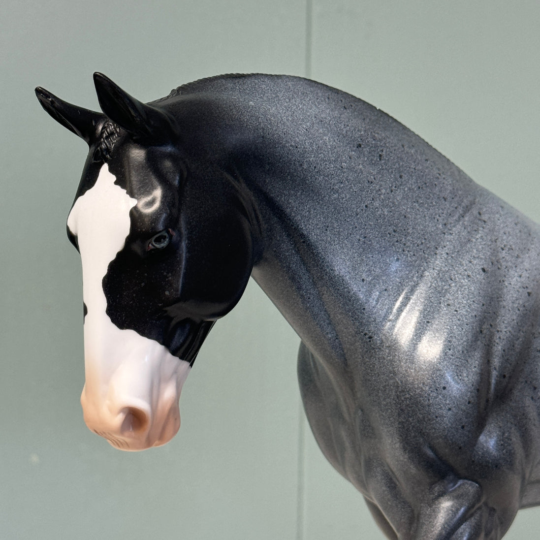 Allan OOAK Fleabitten Blue Roan Irish Draught By Dawn Quick EQ24