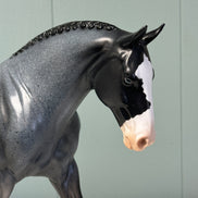 Allan OOAK Fleabitten Blue Roan Irish Draught By Dawn Quick EQ24