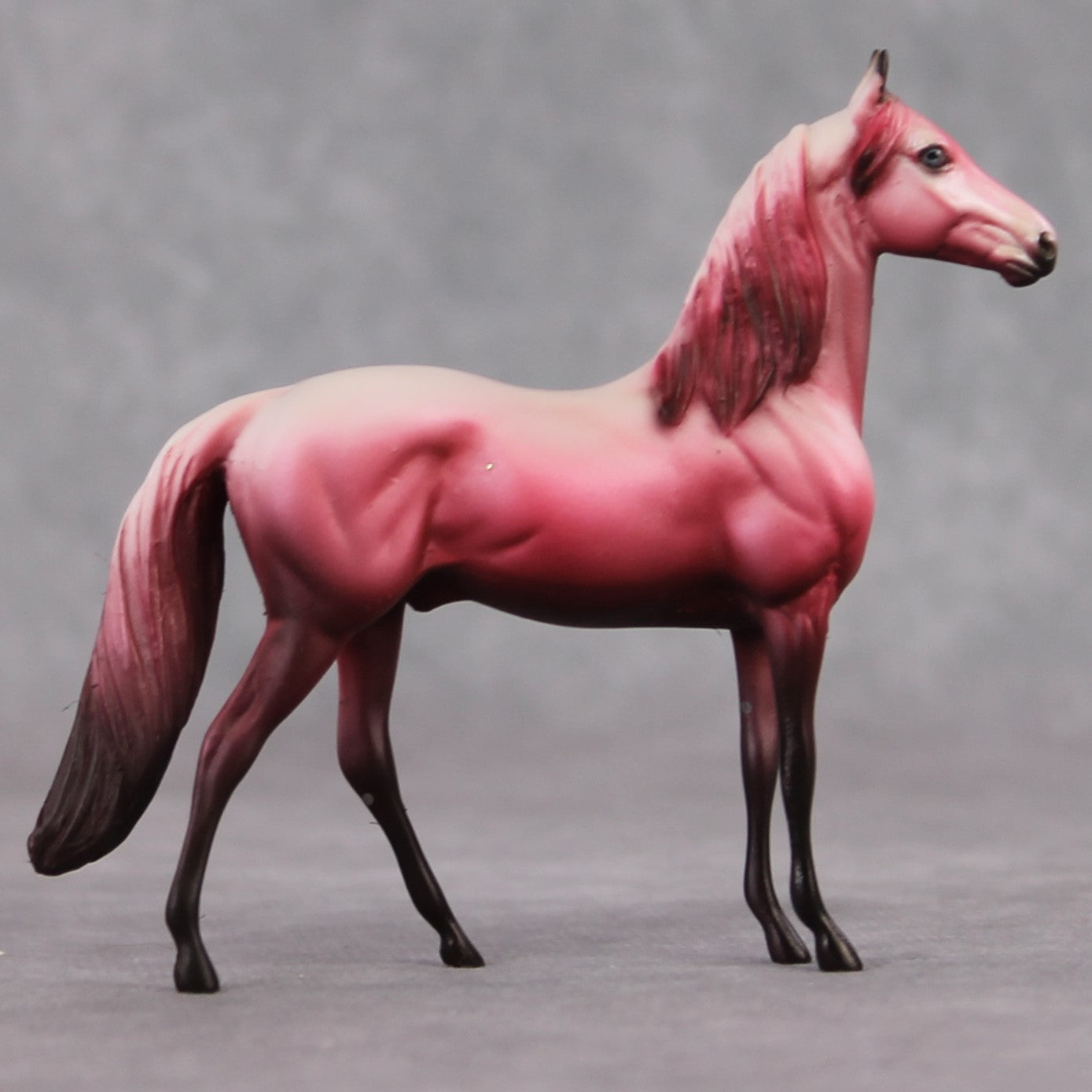 "Saucy" OOAK Morgan Chip By Dawn Quick SHCF25OS