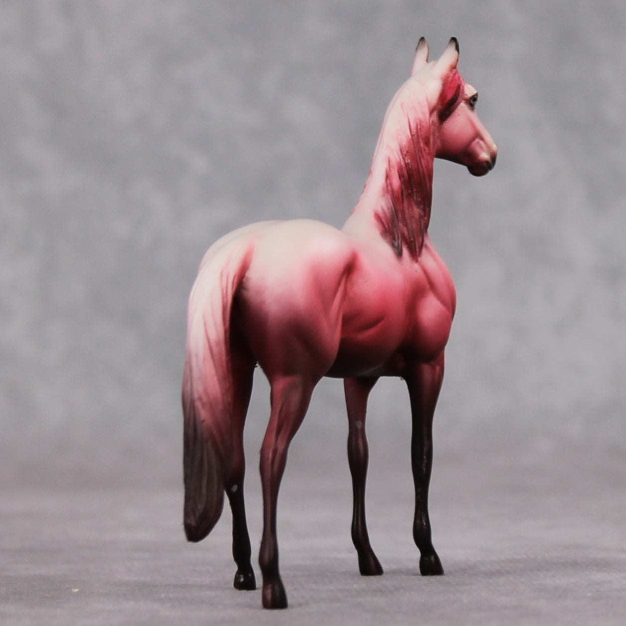 "Saucy" OOAK Morgan Chip By Dawn Quick SHCF25OS