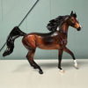 On the Remix OOAK Dappled Bay Arab Mare By Dawn Quick EQ24