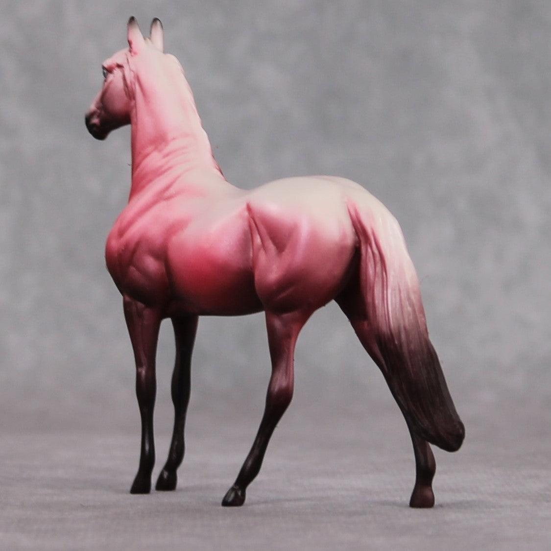 "Saucy" OOAK Morgan Chip By Dawn Quick SHCF25OS