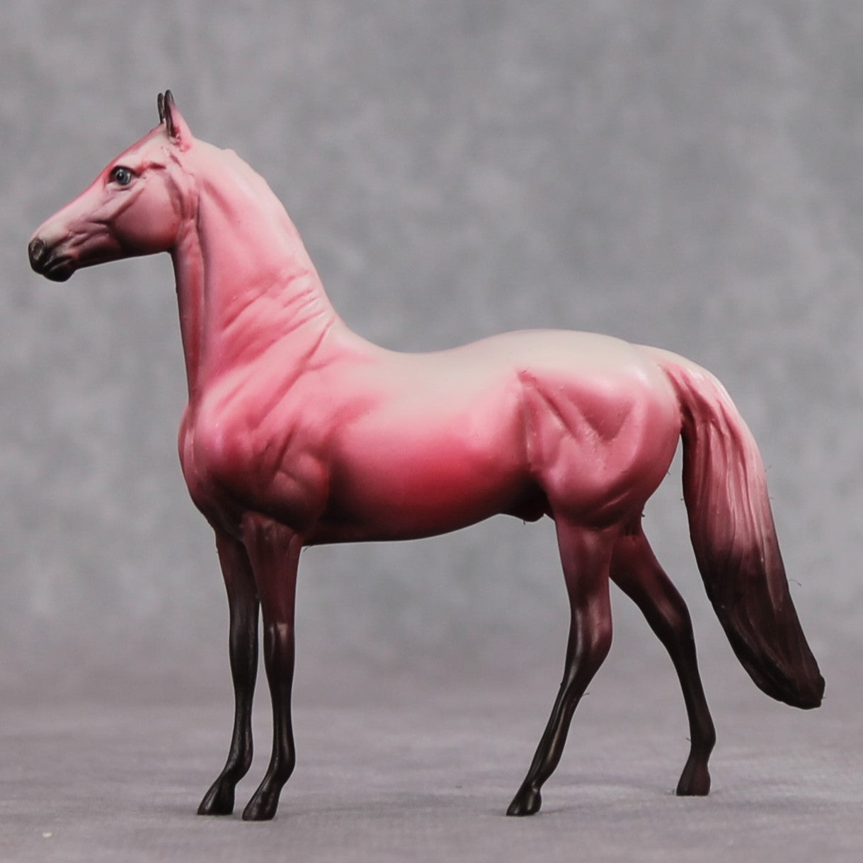 "Saucy" OOAK Morgan Chip By Dawn Quick SHCF25OS