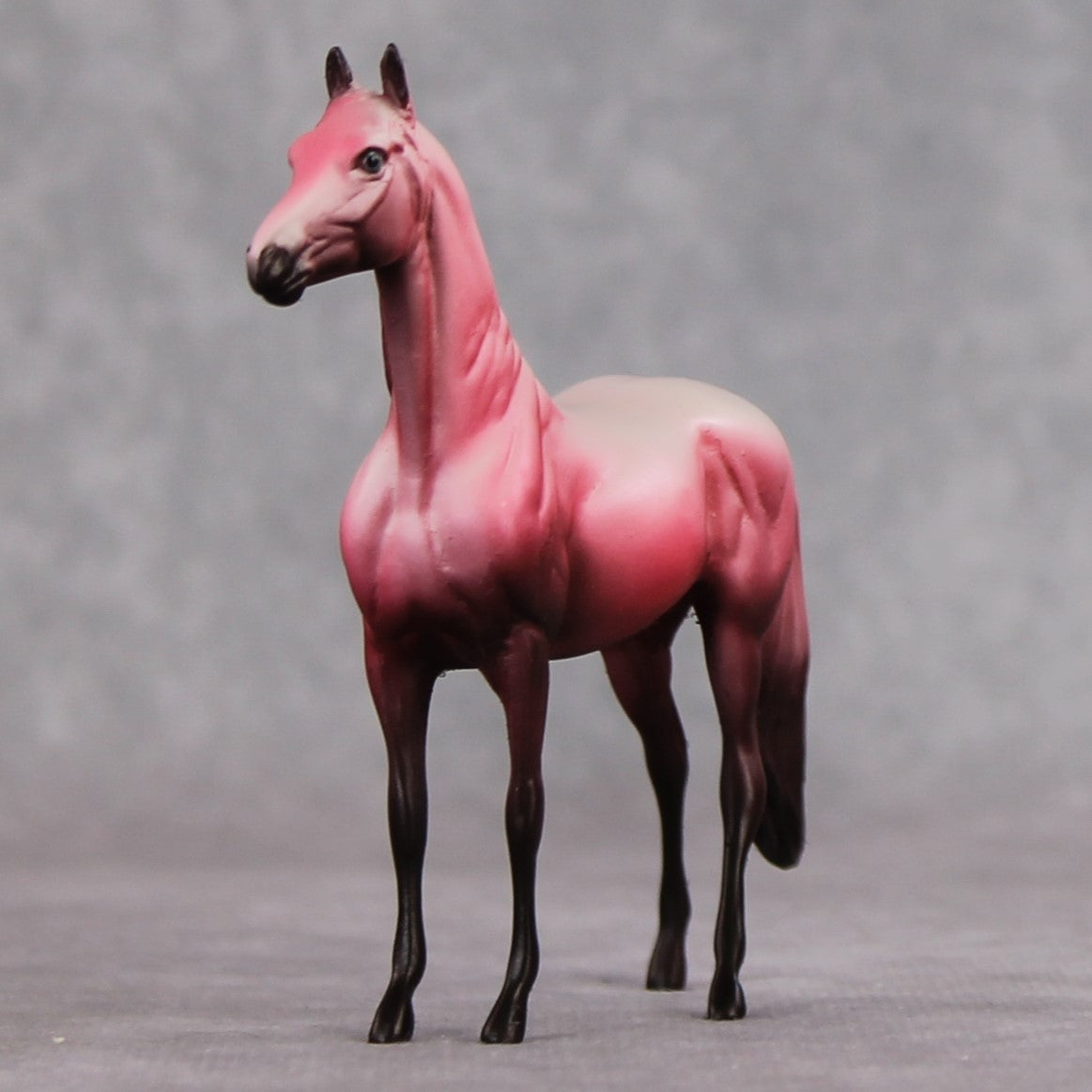 "Saucy" OOAK Morgan Chip By Dawn Quick SHCF25OS