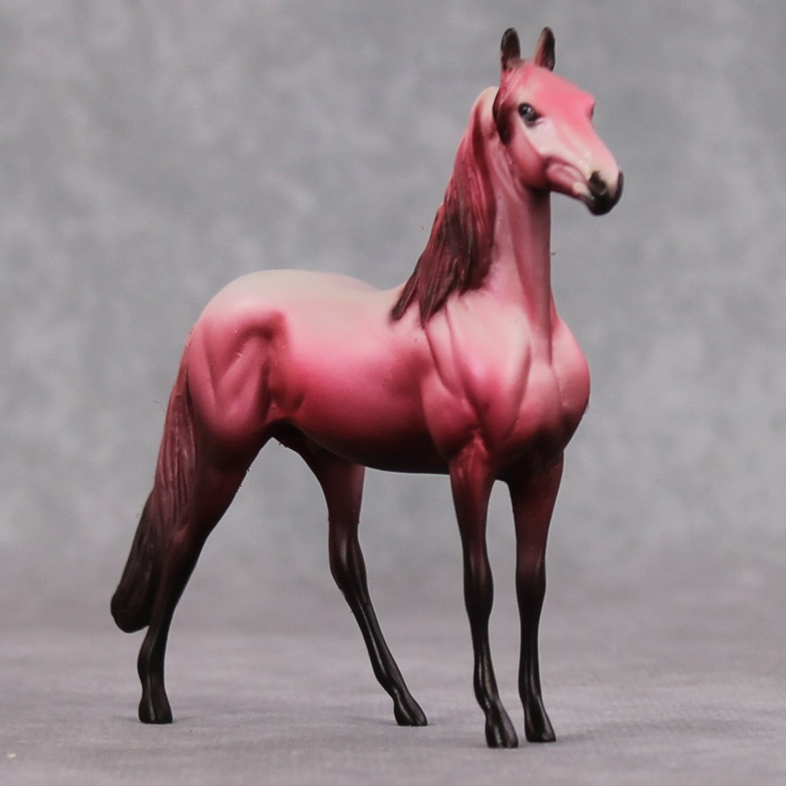 "Saucy" OOAK Morgan Chip By Dawn Quick SHCF25OS