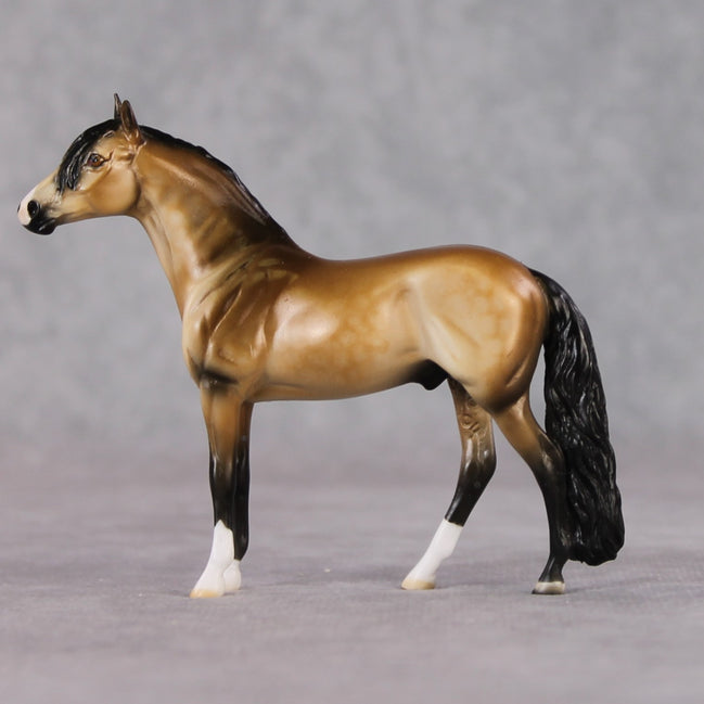 "Tallon" LE-3 Andalusian Chip By Dawn Quick SHCF25