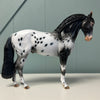 New Icons OOAK Black Appaloosa Andalusian By Dawn Quick EQ24