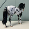 New Icons OOAK Black Appaloosa Andalusian By Dawn Quick EQ24