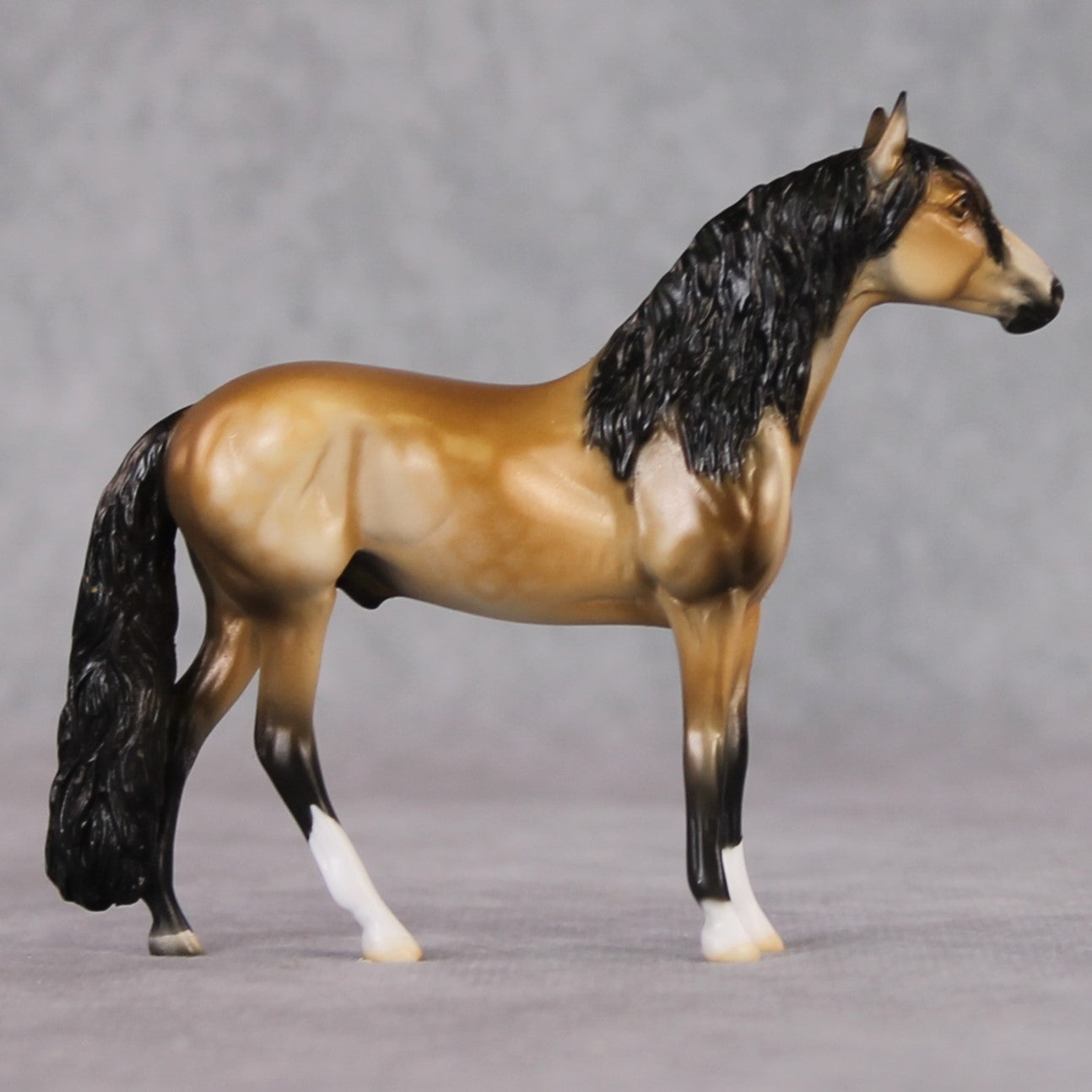 "Tallon" LE-3 Andalusian Chip By Dawn Quick SHCF25