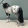 New Icons OOAK Black Appaloosa Andalusian By Dawn Quick EQ24