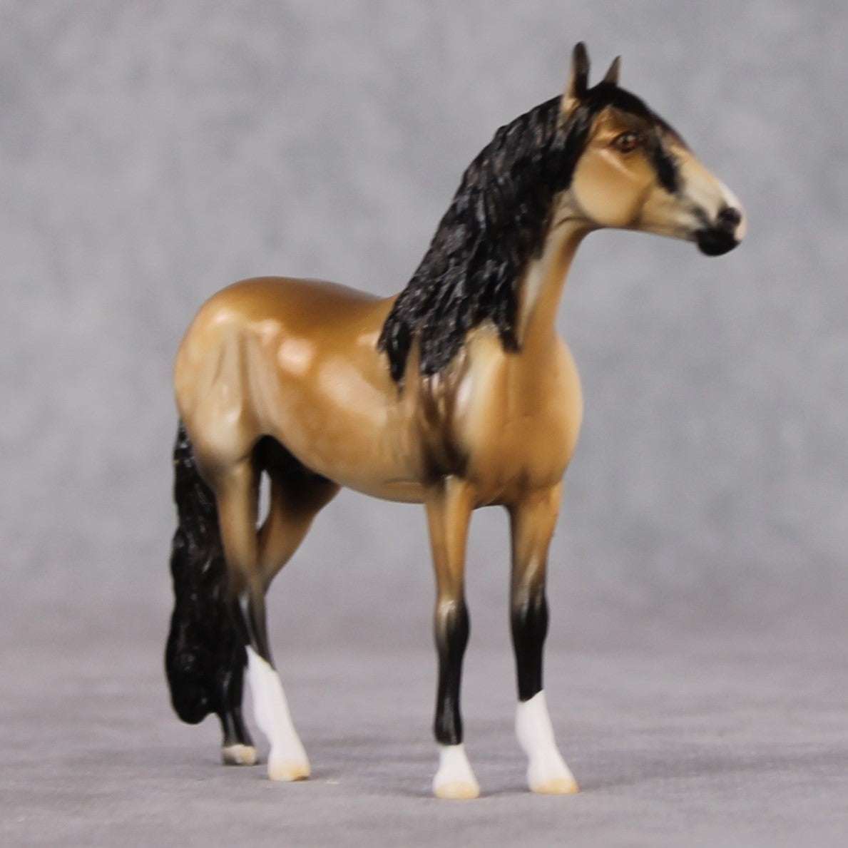 "Tallon" LE-3 Andalusian Chip By Dawn Quick SHCF25