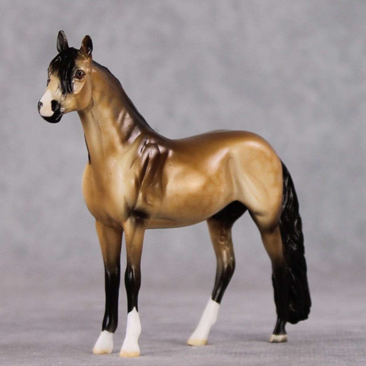 "Tallon" LE-3 Andalusian Chip By Dawn Quick SHCF25