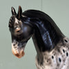 New Icons OOAK Black Appaloosa Andalusian By Dawn Quick EQ24