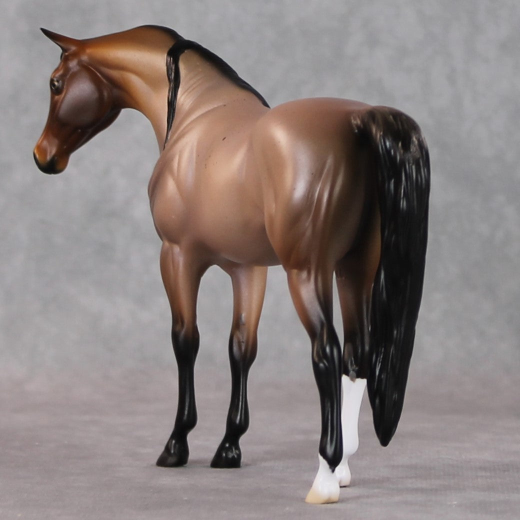 "Tannenbaum" OOAK Pebble Arabian By Ellen Robbins SHCF25OS