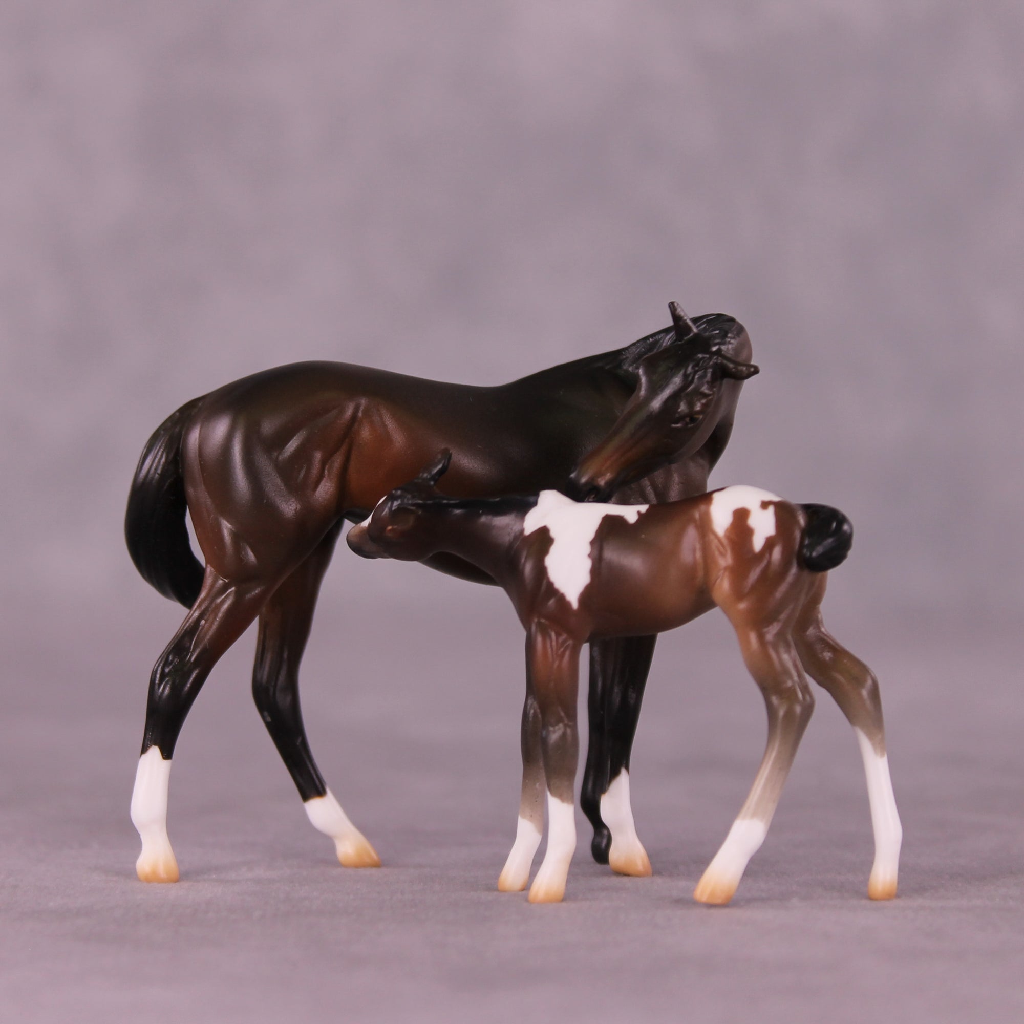 Paparazzi &amp; Flash Photography Set OOAK EFCM Chip Set by Erika Isbell Best Offer 10/7/25