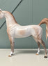 Front and Center OOAK Dappled Mulberry Grey Custom Arabian By Sheryl Leisure Best Offers 7/2/24